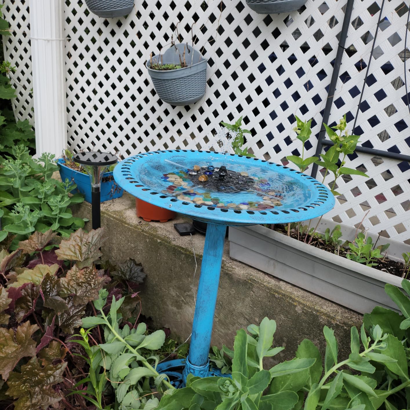 VIVOHOME Bird Bath with Solar Fountain for Outside, Pedestal, Gray | Solar-Powered Pump, Weather-Resistant Polyresin, 20-Inch Bowl, for Outdoor/Garden, Bird-Friendly, Easy to Clean customer photo 2