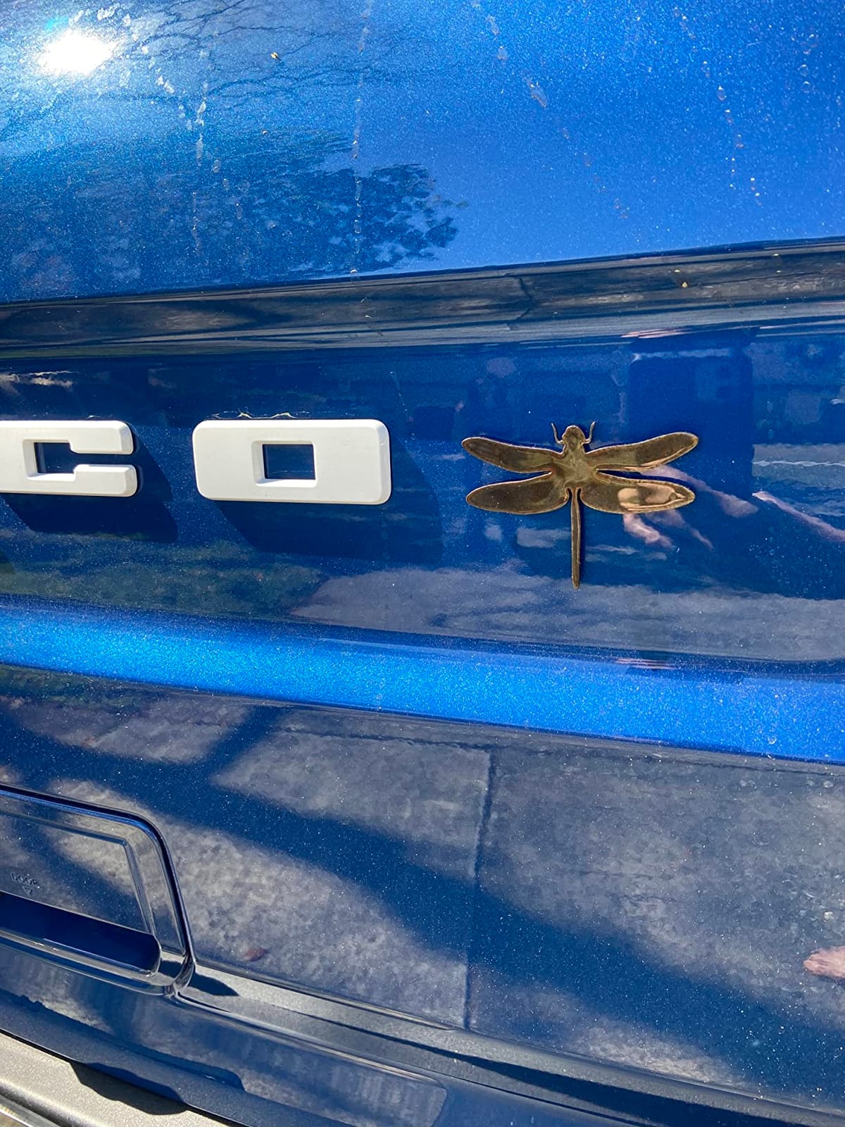 Standing Elk Magnet. Stone Tumbled. Designed and Manufactured in THE USA. customer photo 1