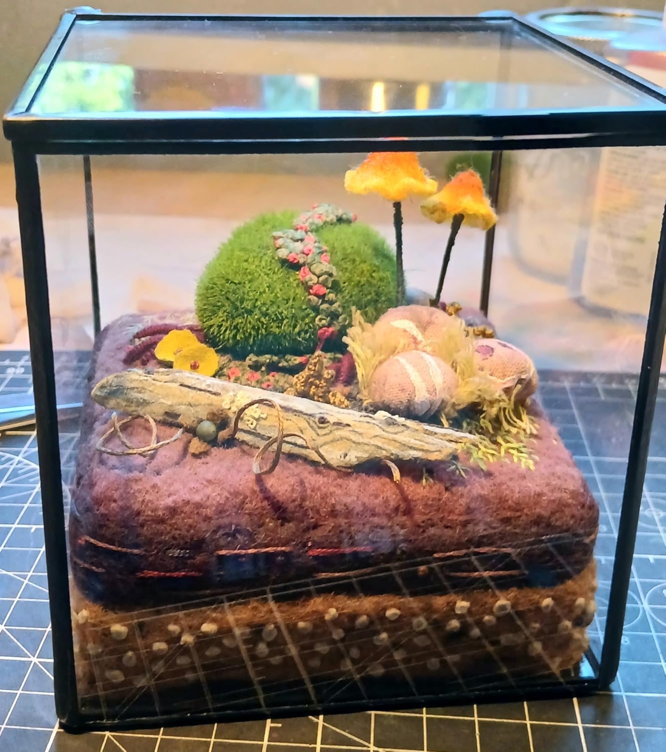 Small Square Glass Terrarium with Lid, 4.3 Inch Clear Glass Planter Box for Moss, Succulents & Air Plants, Mini Fairy Garden Display Case, Black Metal Frame, Indoor Tabletop Plant Decor customer photo 1