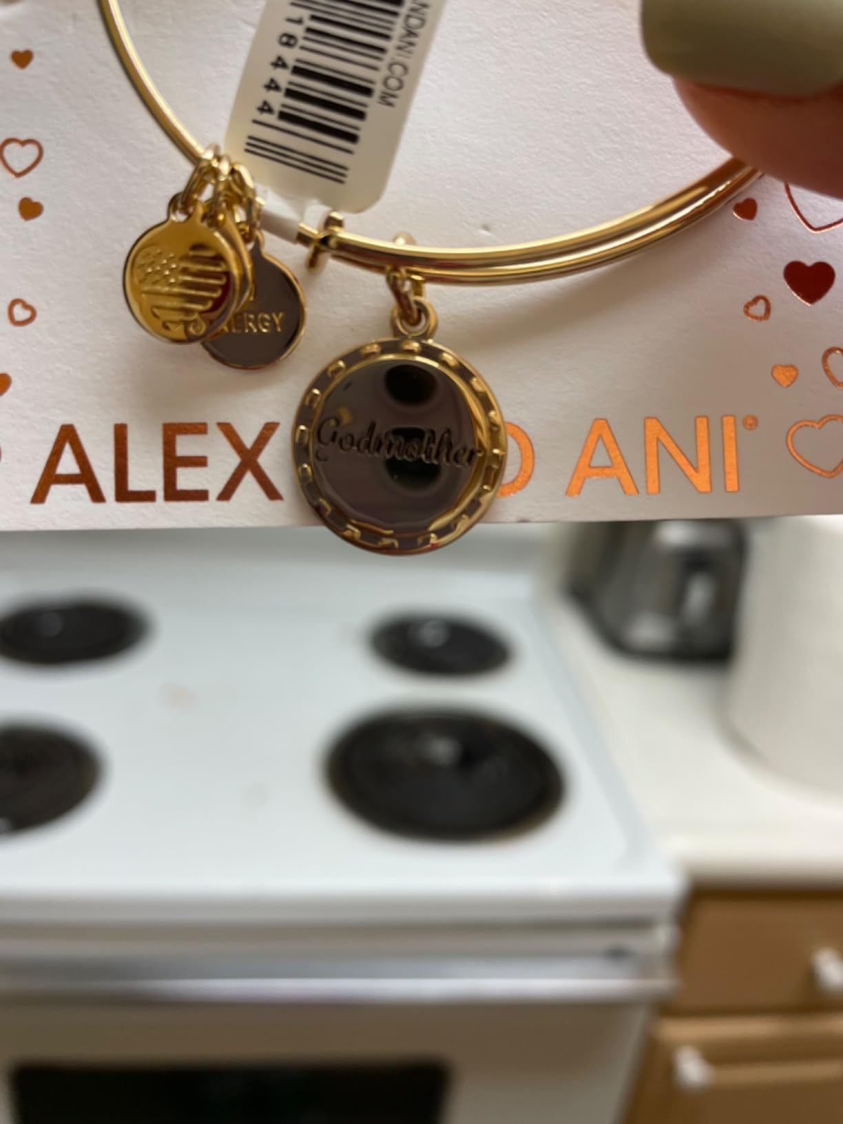 Alex and Ani Godmother Charm Bangle customer photo 1