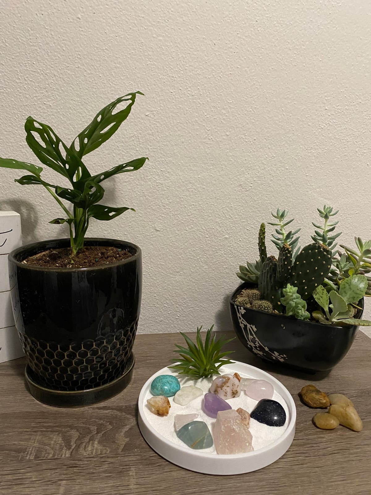 Nature's Mark Mini Zen Garden Kit for Desk with White Sand, Rake, White Base, Salt Rock and Air Plant (Round) customer photo 1