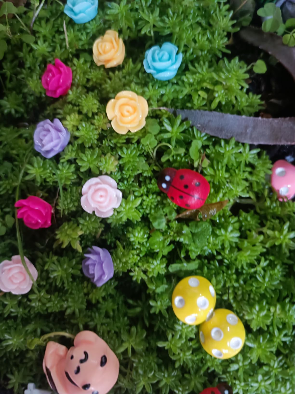 Dracarys Selected 100 Pcs Fairy Garden Accessories, Mini Resin Animals, Miniature Figurines, Micro Landscape Ornaments Kit, Garden DIY Animals, Environmental Resin, Forest Encounters customer photo 1