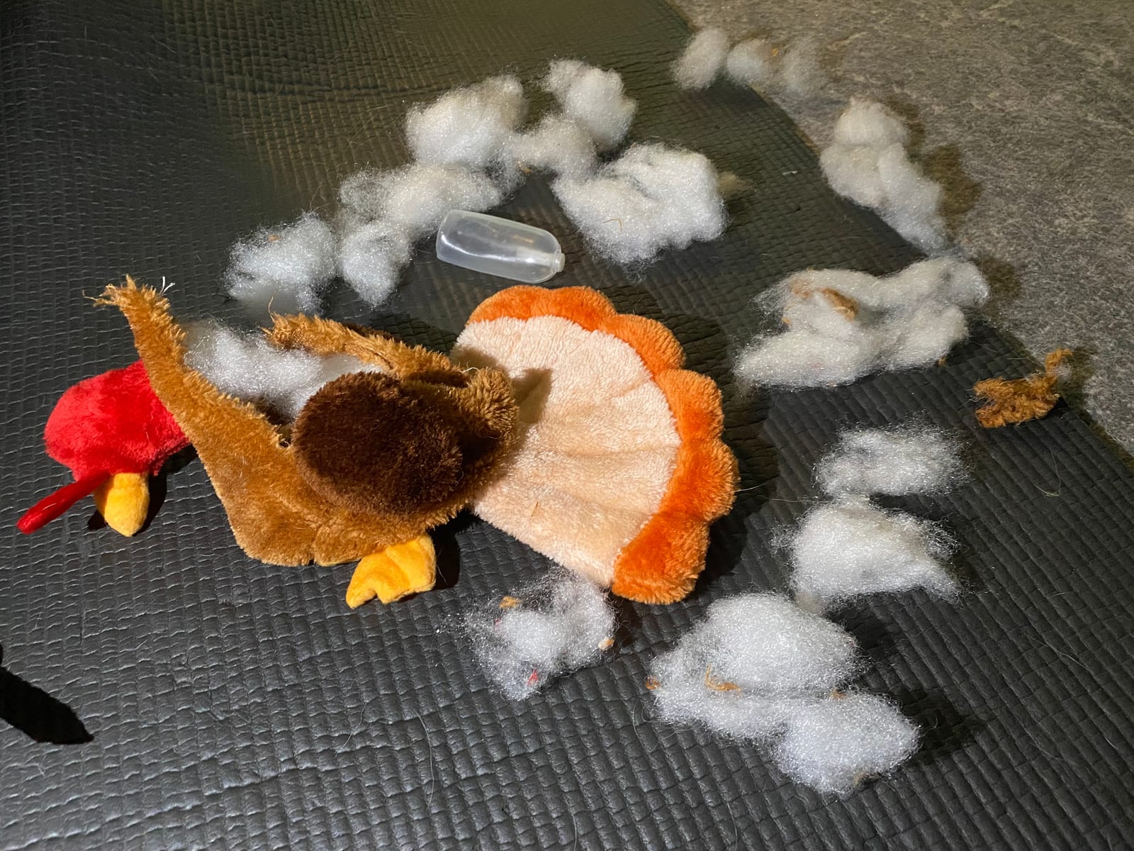 ZippyPaws Turkey Plush for Small, Medium, & Large Dogs - Tucker the Turkey | Interactive Dog Toys to Keep Them Busy, Squeaky & Crinkly Pet Toy for All Breeds, One Medium Blaster Squeaker customer photo 2
