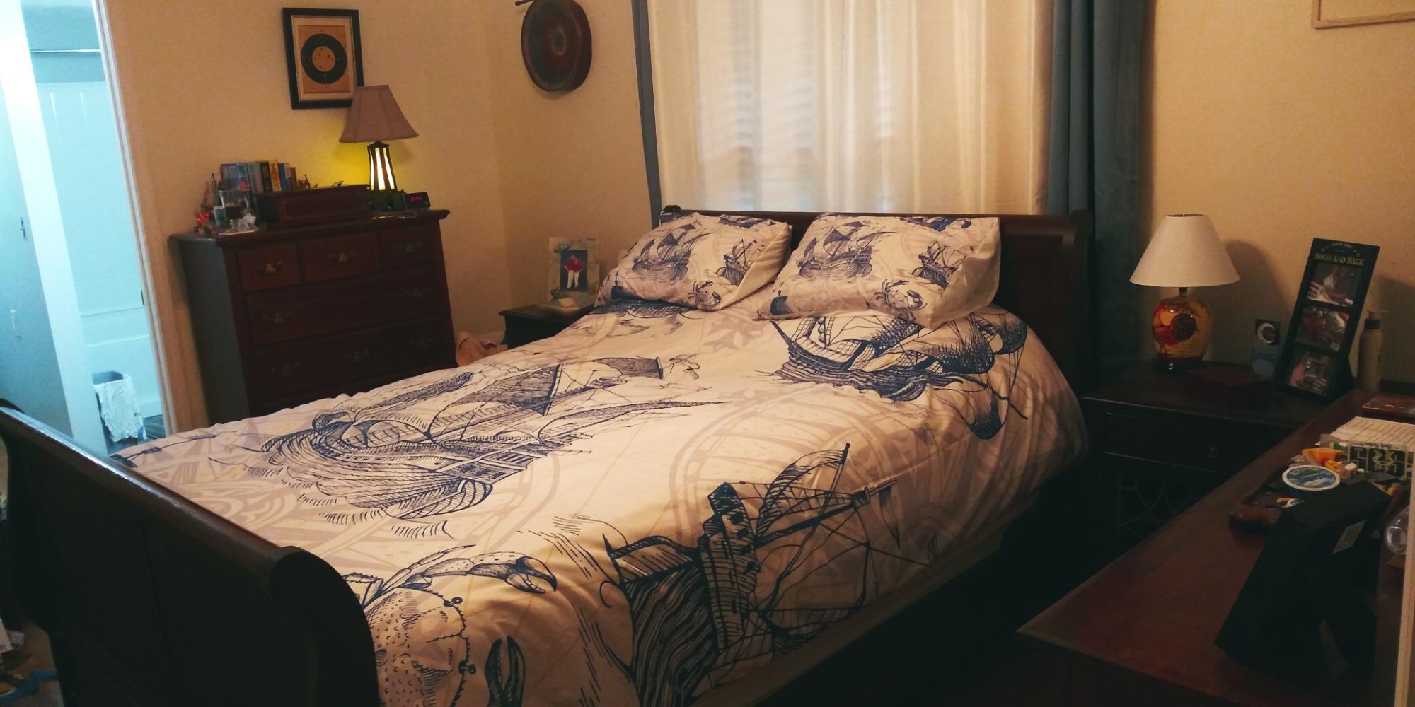 Erosebridal Lion Bedding Lightning Lion Duvet Cover Set Queen Size with 2 Pillowcases, Animal Head Bedding Set Grey Black Soft Microfiber Bed Cover for Teen Boys Young Man Decoration Room customer photo 2