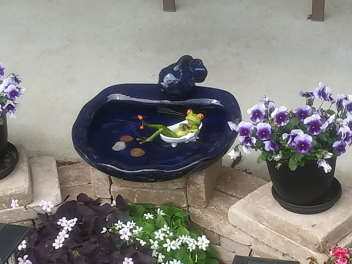 JUXYES Texting On Toilet Frog Figurines Collectibles for Home Office Decor customer photo 2