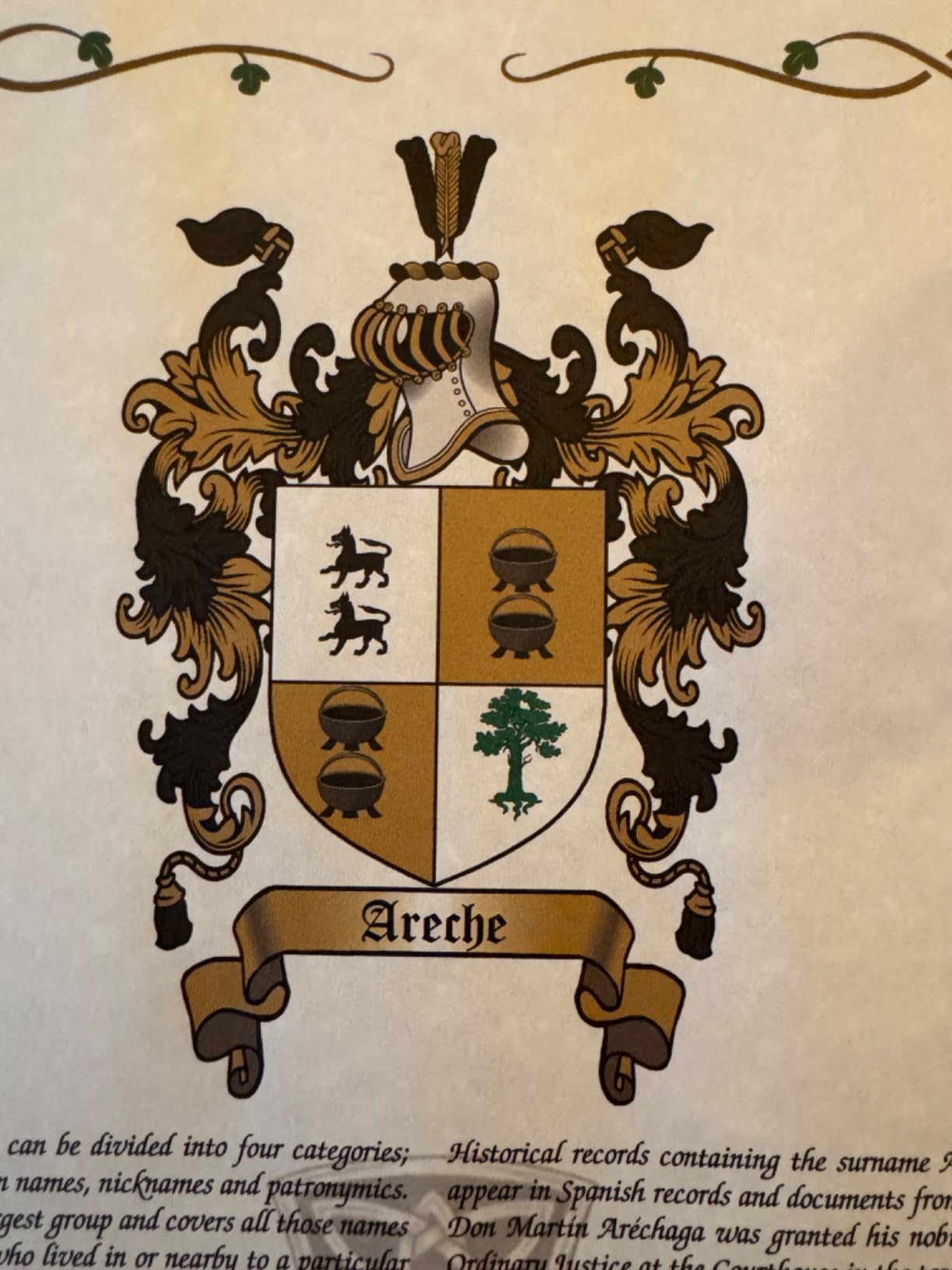 Mr Sweets Find Your Name Here - Coat of Arms, Crest & History Prints - Customized Order customer photo 1