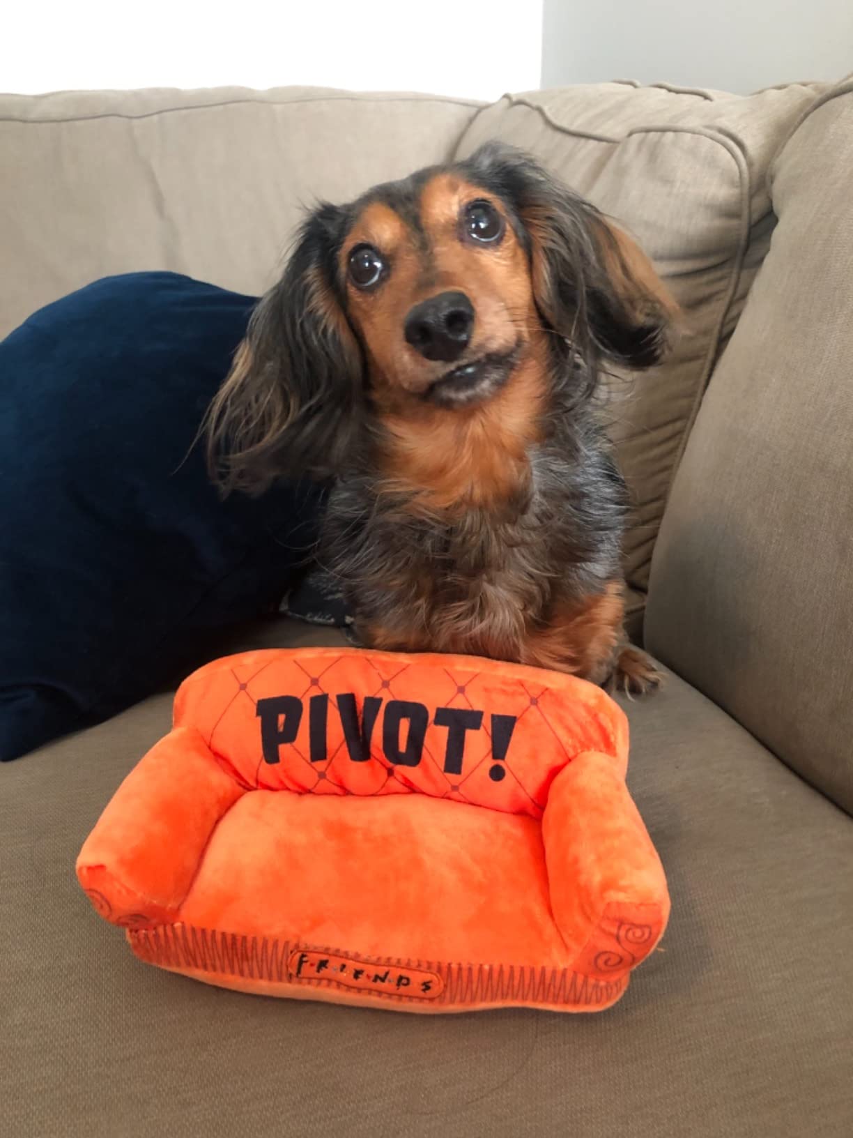 Warner Bros Friends TV Show Pivot Couch Plush Dog Toy, 10 Inch | Built-in squeaker, officially licensed Friends product, iconic couch design customer photo 2