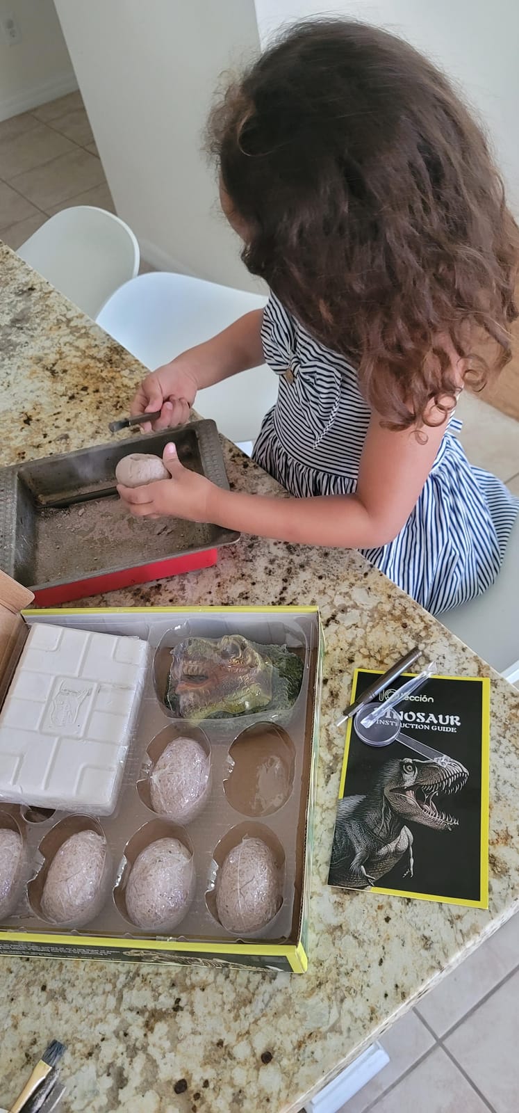 Dinosaur Fossil Digging Kit for Kids, Eggs Excavation Dig Kit, Toys for Kids 5-7 8-12, Great Birthday for Boys and Girls customer photo 2