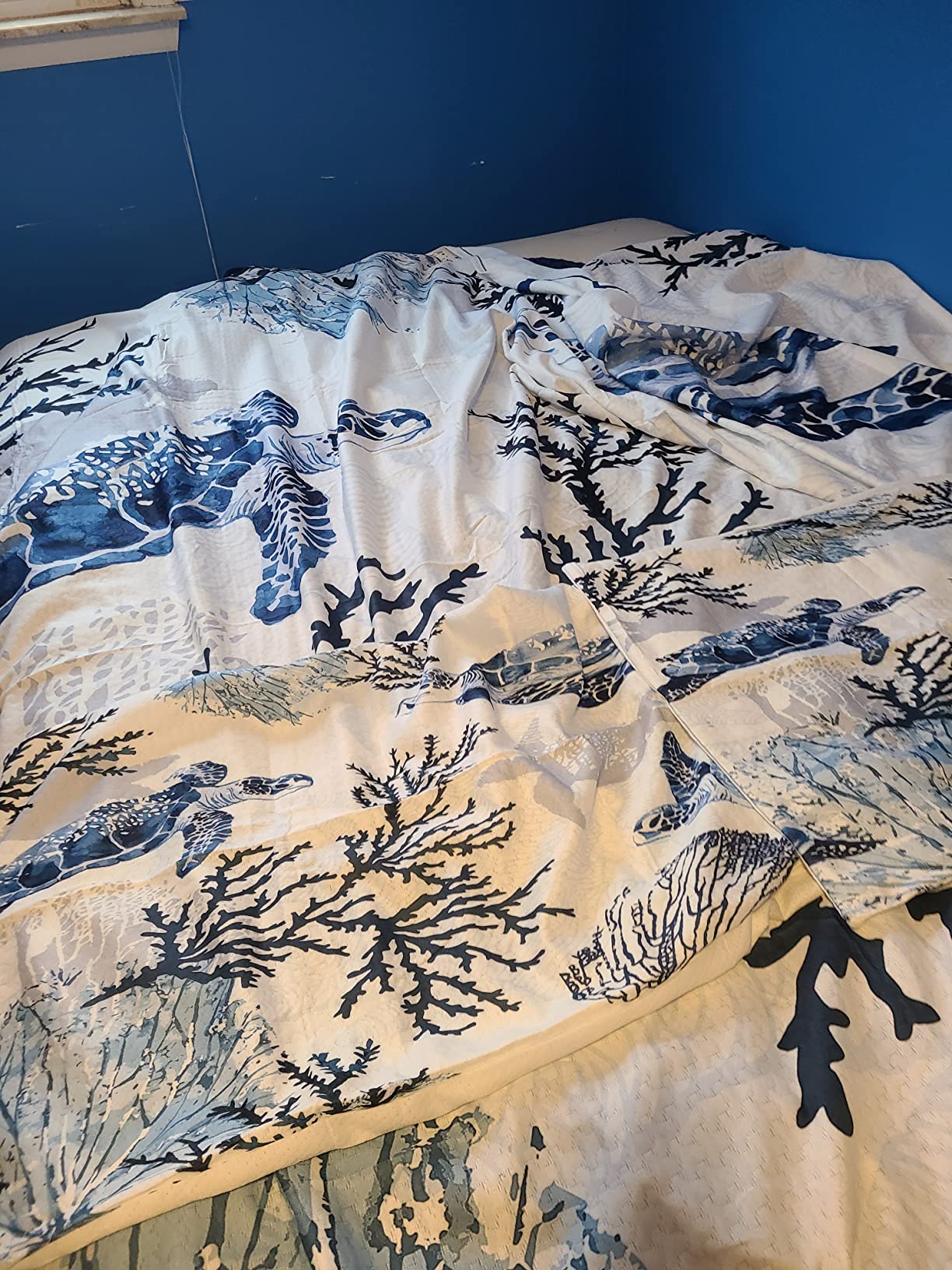 Sea Beach Theme Bedspreads Kids Ocean Crabs Print Queen Bedding Set 3D Crab Luxury Microfiber Polyester Quilt Set with 2 Pillow Shams,Soft Lightweight Marine Life Animal Decorative Coverlet,Teal Blue customer photo 2