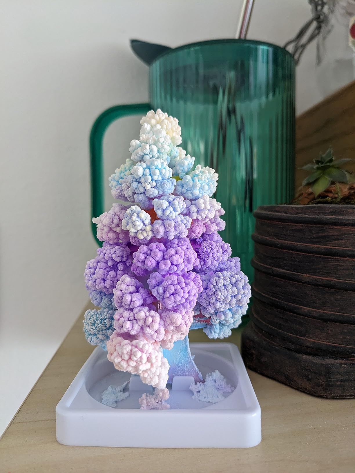 National Geographic Crystal Growing Craft Kit to Create a Crystal Garden | Fast 6-Hour Growing Time, Colorful Crystal Garden, Art Project, Real Geode Specimen, STEM Crafts for 8-12, Birthday Gift customer photo 1