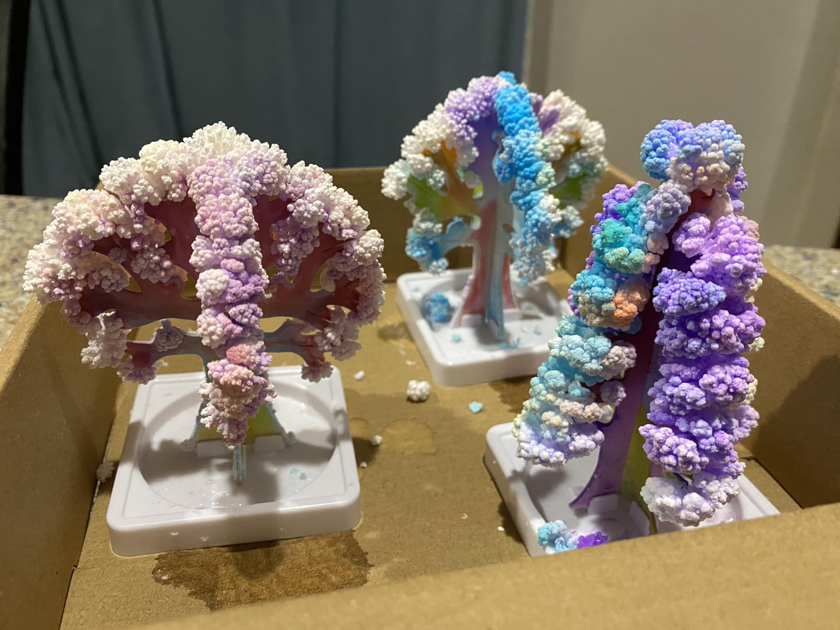 National Geographic Crystal Growing Craft Kit to Create a Crystal Garden | Fast 6-Hour Growing Time, Colorful Crystal Garden, Art Project, Real Geode Specimen, STEM Crafts for 8-12, Birthday Gift customer photo 2