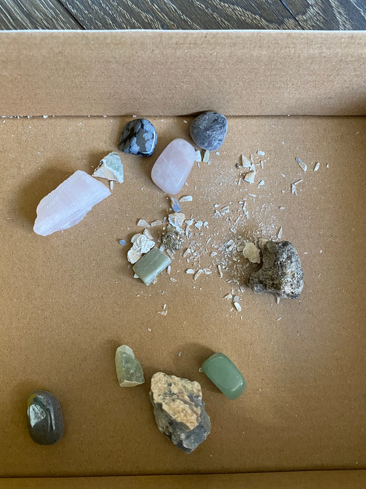 National Geographic Rock Collection Box with 15 Gemstones and Crystals | 15 Gemstones and Crystals, Storage Box, Geology Learning, Crystal Collection, Rock Identification, Birthday Gift customer photo 1