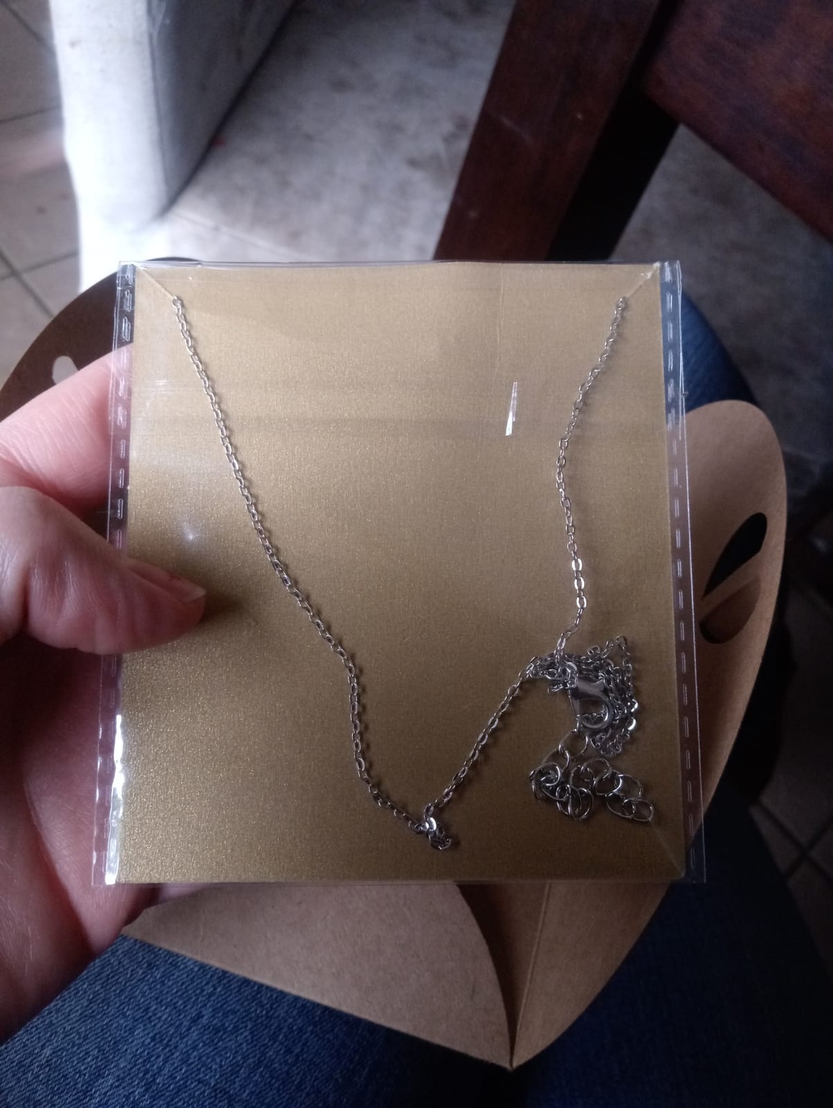 Baydurcan Silvery Necklace for Women Pendant Chain Friendship Necklace Gift | Good Luck Horseshoe Elephant Pendant Graduation Compass Necklace with Message Card Gift Card for Birthday Christmas customer photo 2