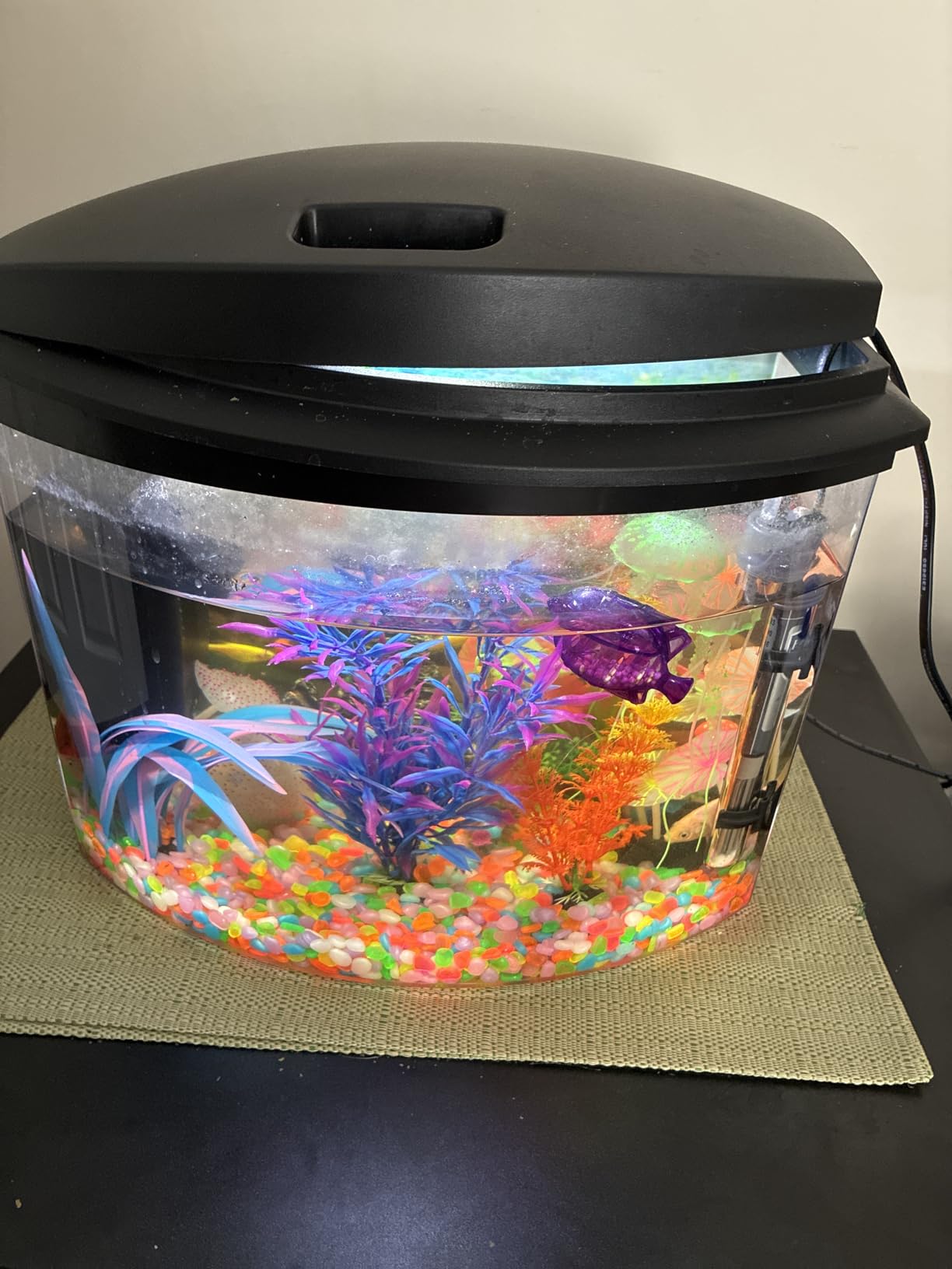 Aqueon LED MiniBow Small Aquarium Fish Tank Kit with SmartClean Technology, Black, 5 Gallon customer photo 2
