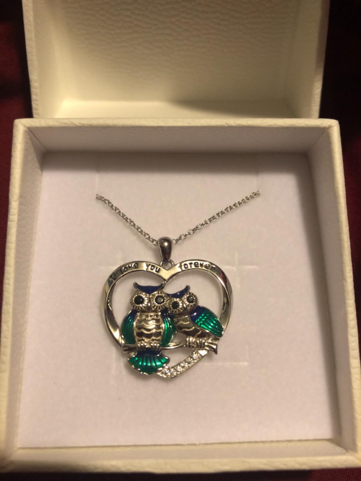 Sterling Silver Owl Necklace Mother Daughter Owl Lover Bird Pendant Necklace Mother's Day Gifts for Women Grandmother Daughter Mom customer photo 1
