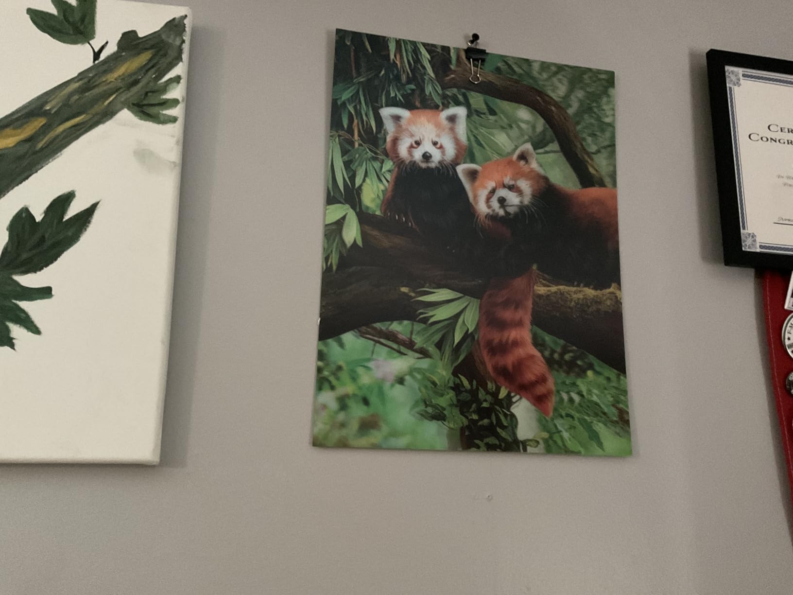 3D LiveLife Lenticular Pictures - Baby Orangutan from Deluxebase. 12x16in Unframed Deep 3D Effect Animal Wall Art customer photo 1