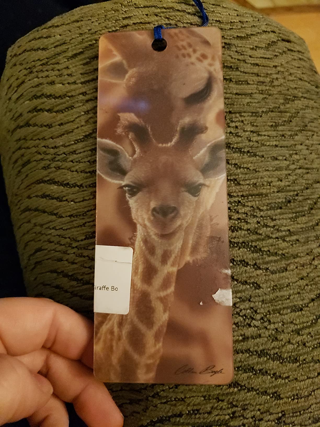 3D LiveLife Zebra Bookmark - Jailbird Lenticular Page Marker | By Deluxebase. Cute animal lenticular 3D bookmark with tassel. Gift ideas for men, women, writers, teachers & book lovers. customer photo 2