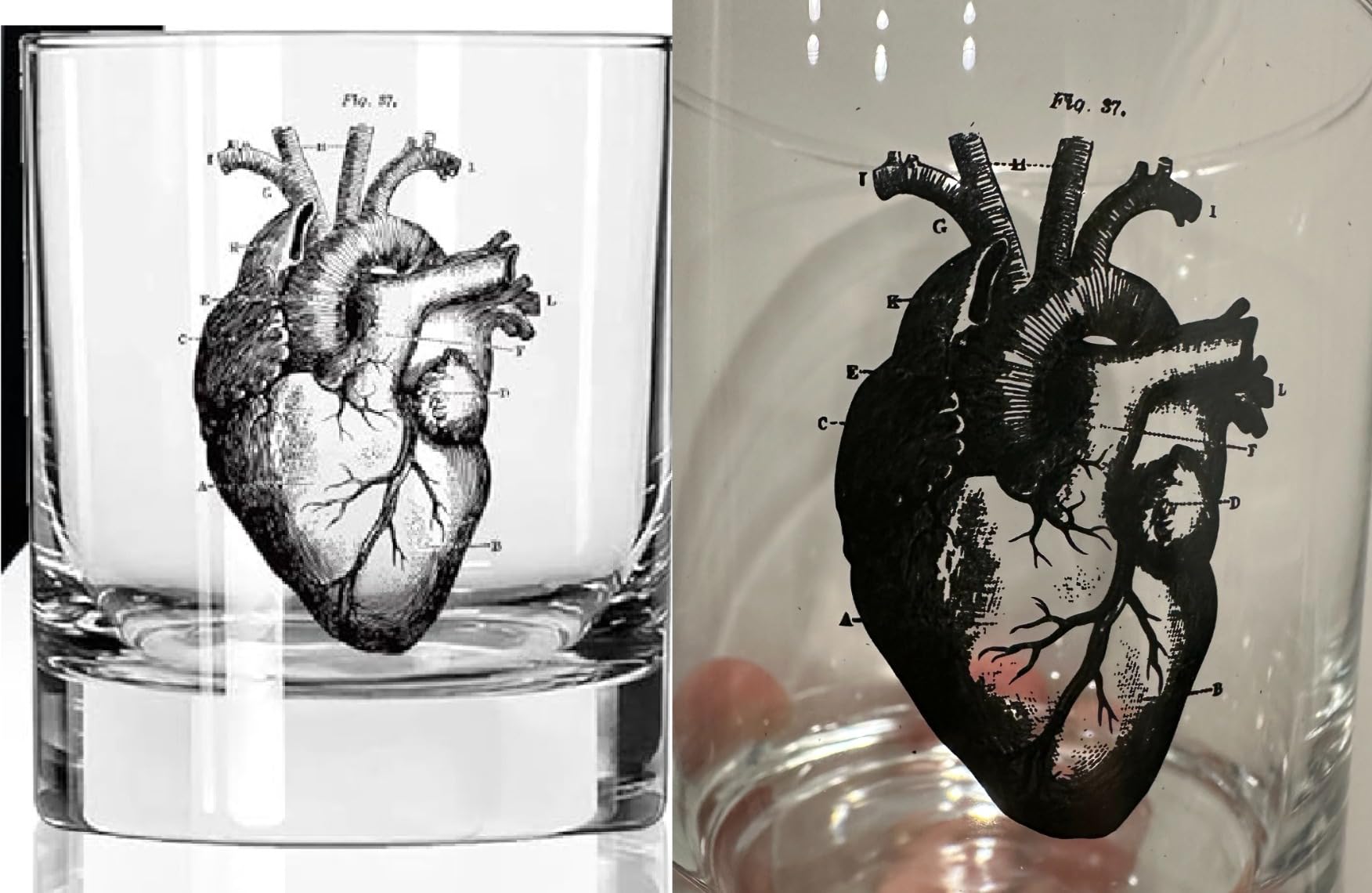 AGMdesign Human Heart Anatomy Whiskey Glass, Unique gifts for Physician, Nurse, Neighbor, Coworker, Friend, Boss, Anatomy Of Heart Art, Hearts Drawing customer photo 2
