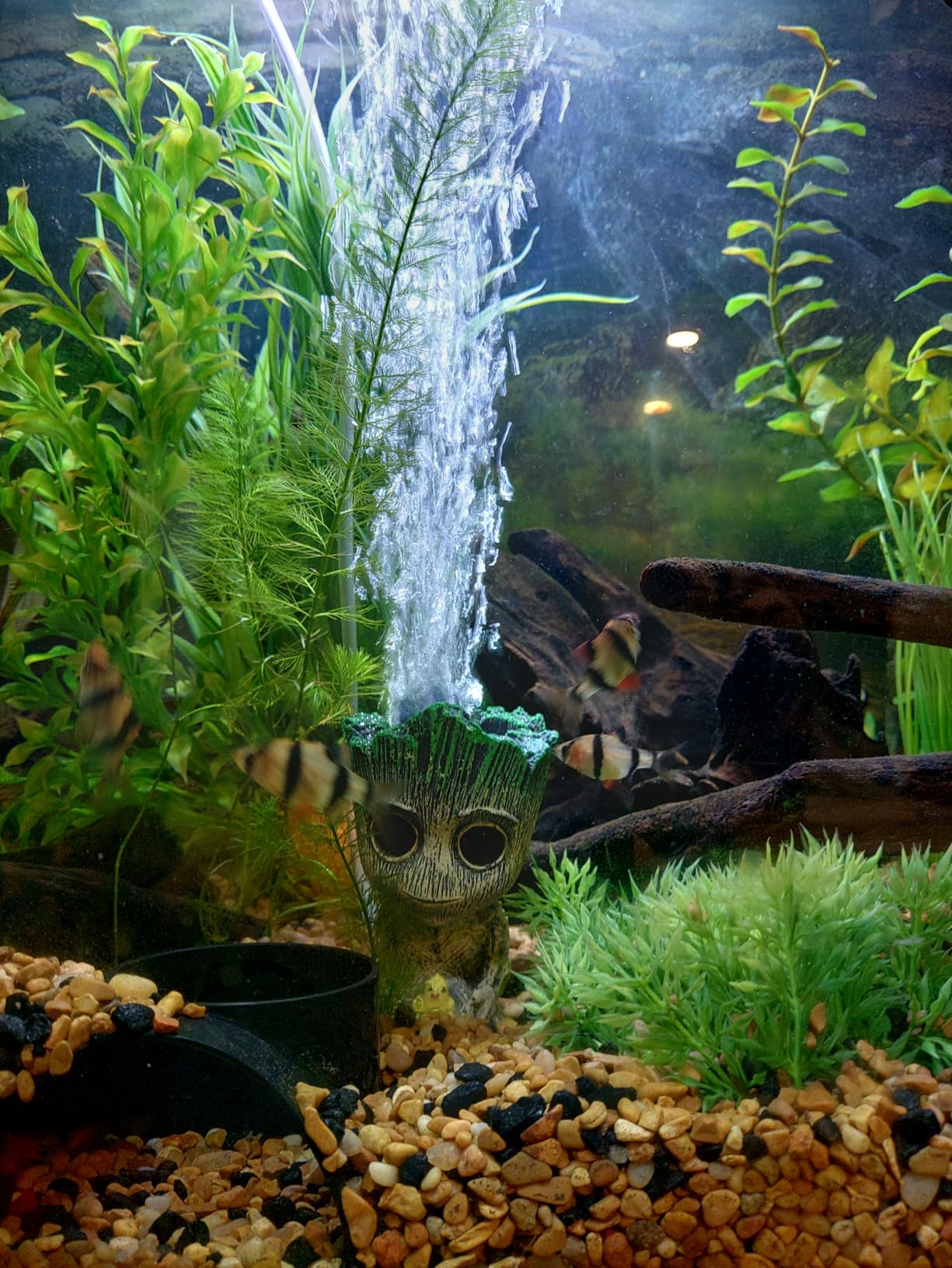 AnxunJim Aquarium Groot Air Bubbler Decorations Fish Tank Air Stone Set customer photo 1