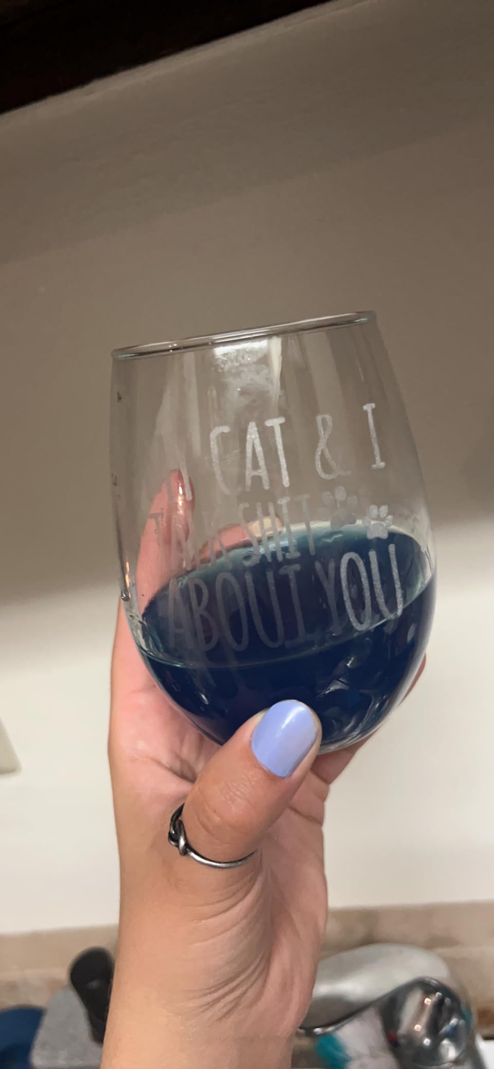 Cat Lover Gift - My Cat & I Talk Sh*t About You Stemless Wine Glass 15 Oz | Cat Mom Present customer photo 2