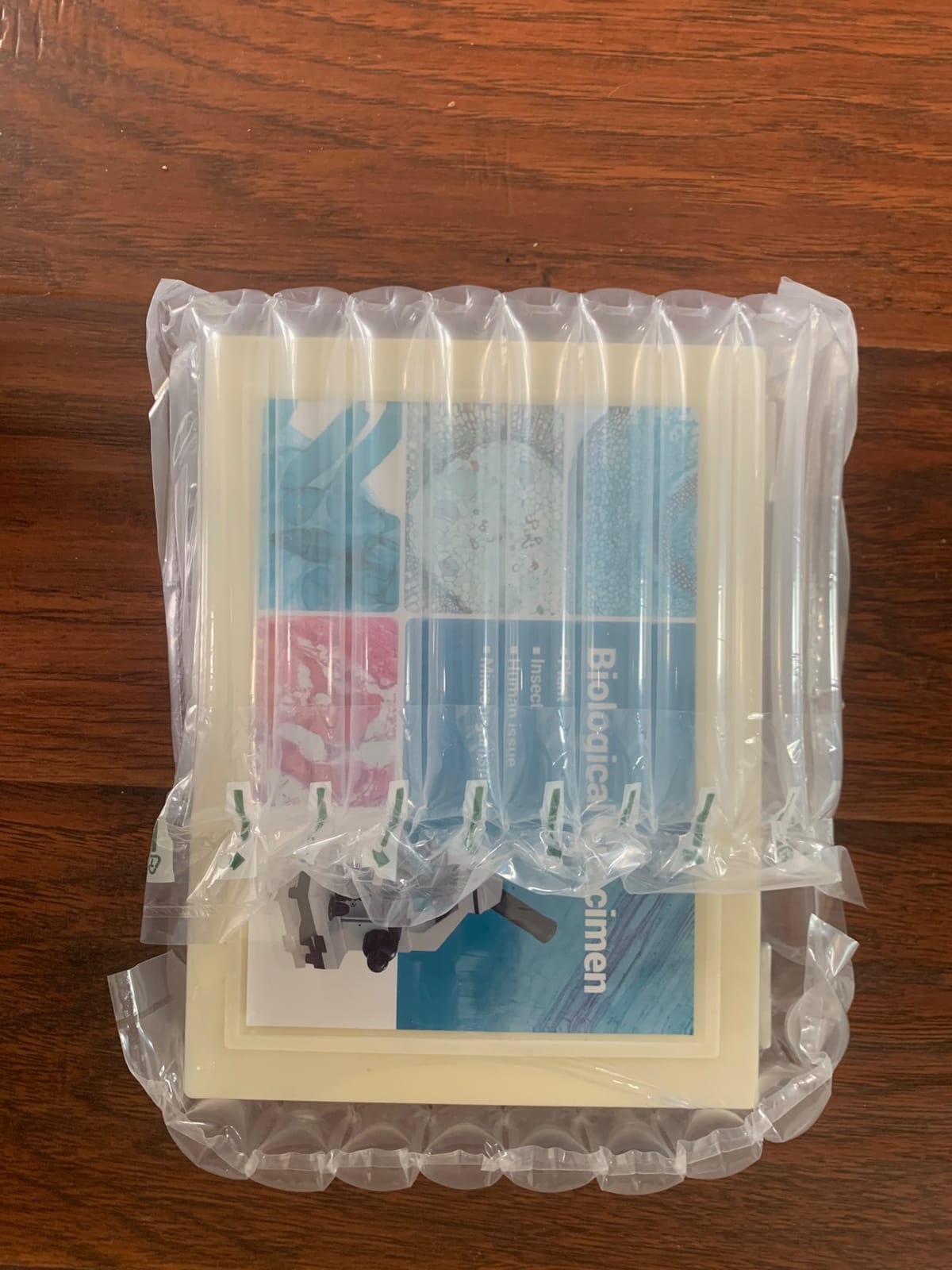 60 Microscope Slides with Specimens for Kids, Prepared Microscope Slides for Kids Microbiology, Prepared Microscope Slides for Adults customer photo 2