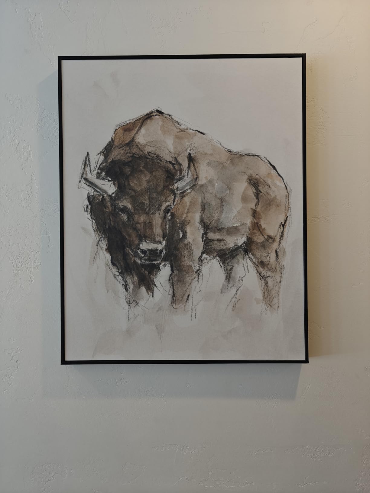 Stupell Industries Western American Buffalo Brown Country Animal, Black Framed, 11 x 14 customer photo 2