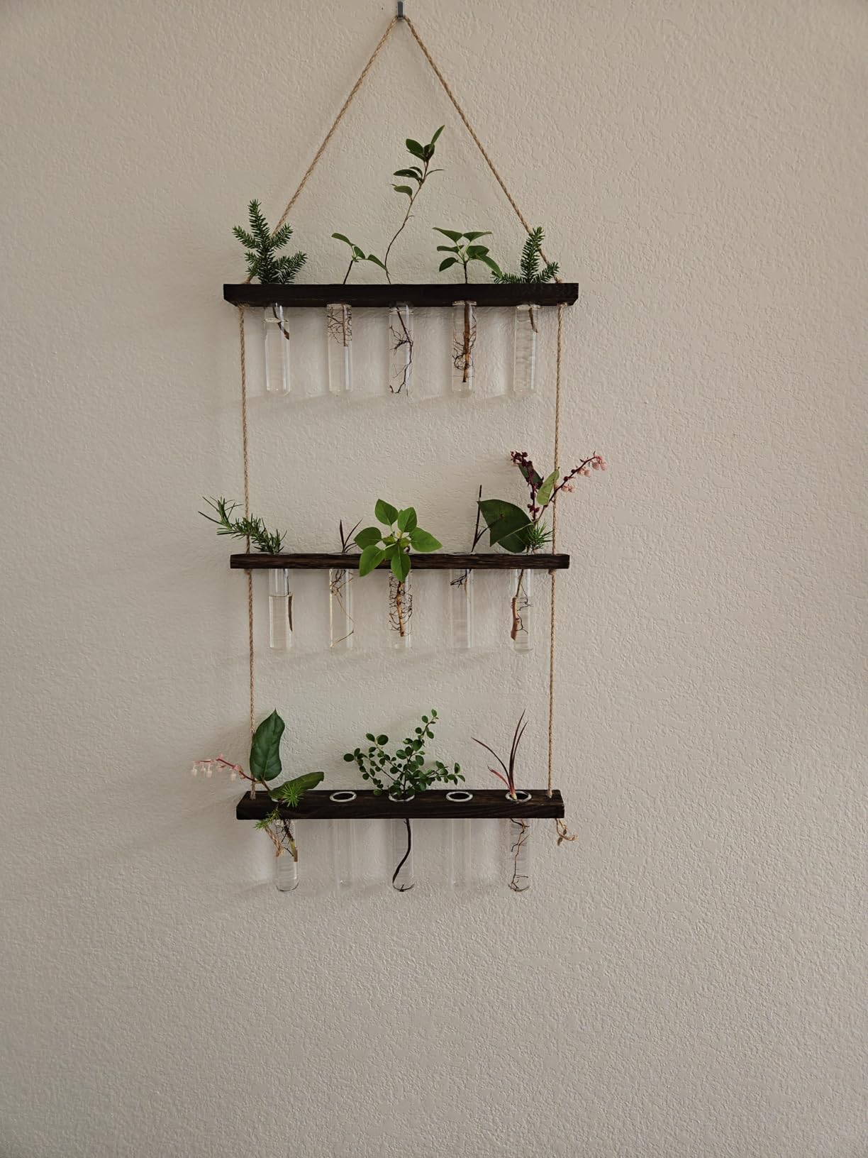 Mkono Plant Propagation Station, 3 Tier Brown Wall Hanging Vase Test Tubes | Glass Terrarium Planter, Wooden Stand, for Hydroponic Cuttings Flowers, Bathroom Living Room Office Decor, Plant Lovers Gift customer photo 1