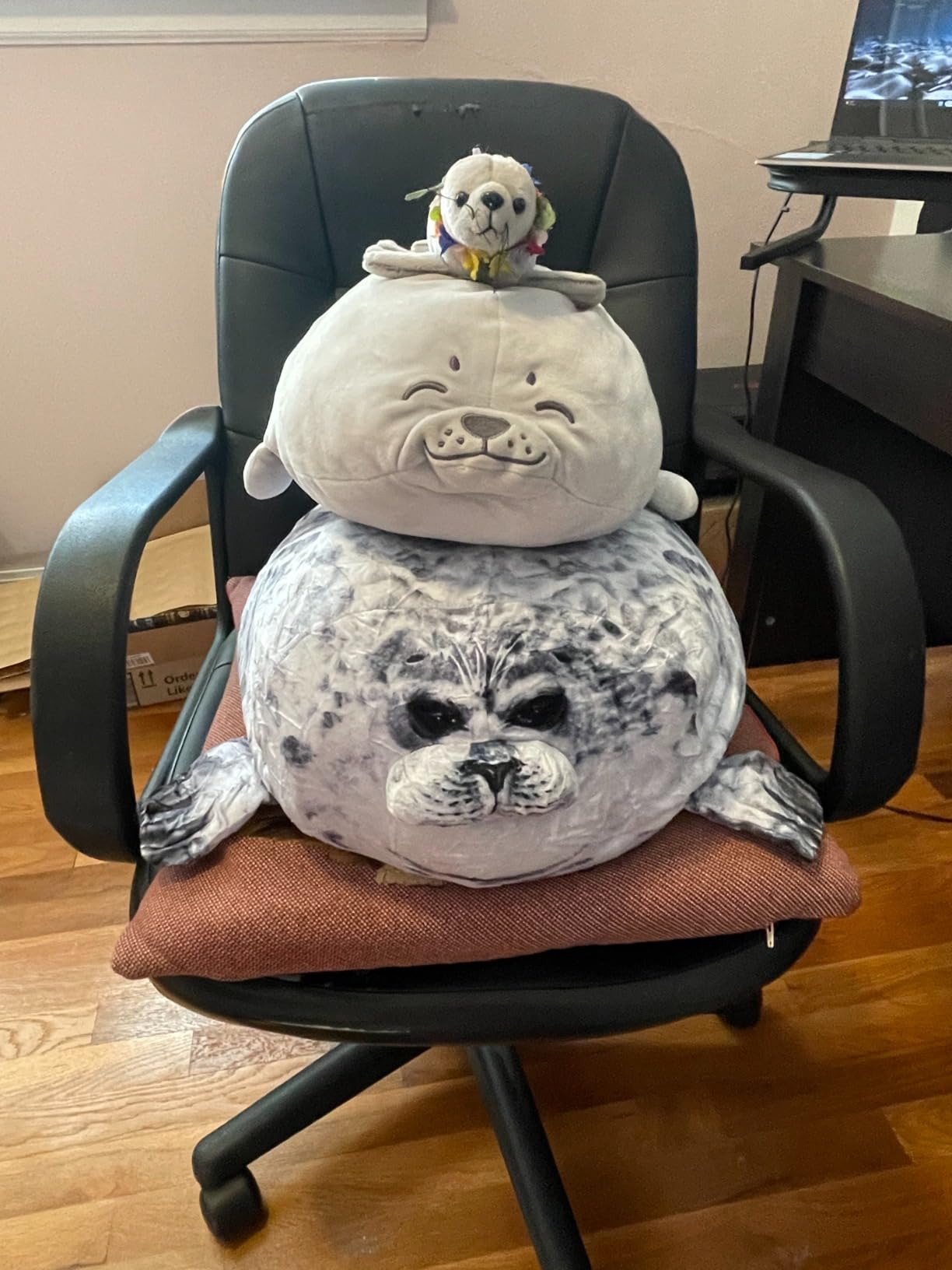 ETAOLINE Chubby Blob Seal Pillow Cute Seal Plush Toy Cotton Stuffed Animals customer photo 2