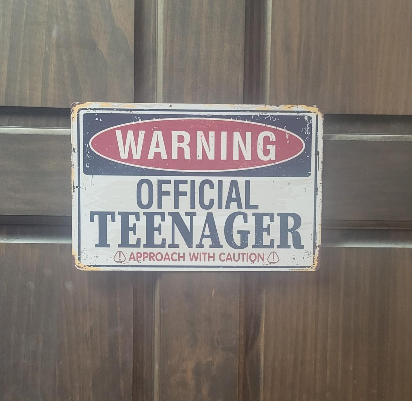 Metal Sign - Frog Parking - Durable Metal Sign - Use Indoor/Outdoor - Funny Pun Garage Decor and Housewarming Gift Under $20 (8