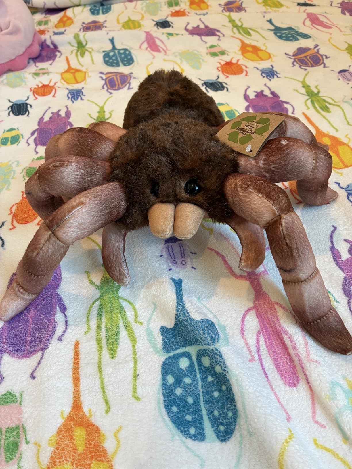 The Petting Zoo Sitting Tarantula Stuffed Animal Plushie, Wild Onez, 12 in | Tarantula Realistic Wildlife Zoo Animals by Zoologee customer photo 1