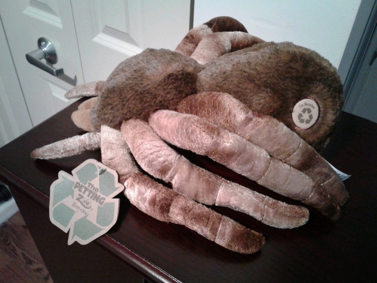 The Petting Zoo Sitting Tarantula Stuffed Animal Plushie, Wild Onez, 12 in | Tarantula Realistic Wildlife Zoo Animals by Zoologee customer photo 2