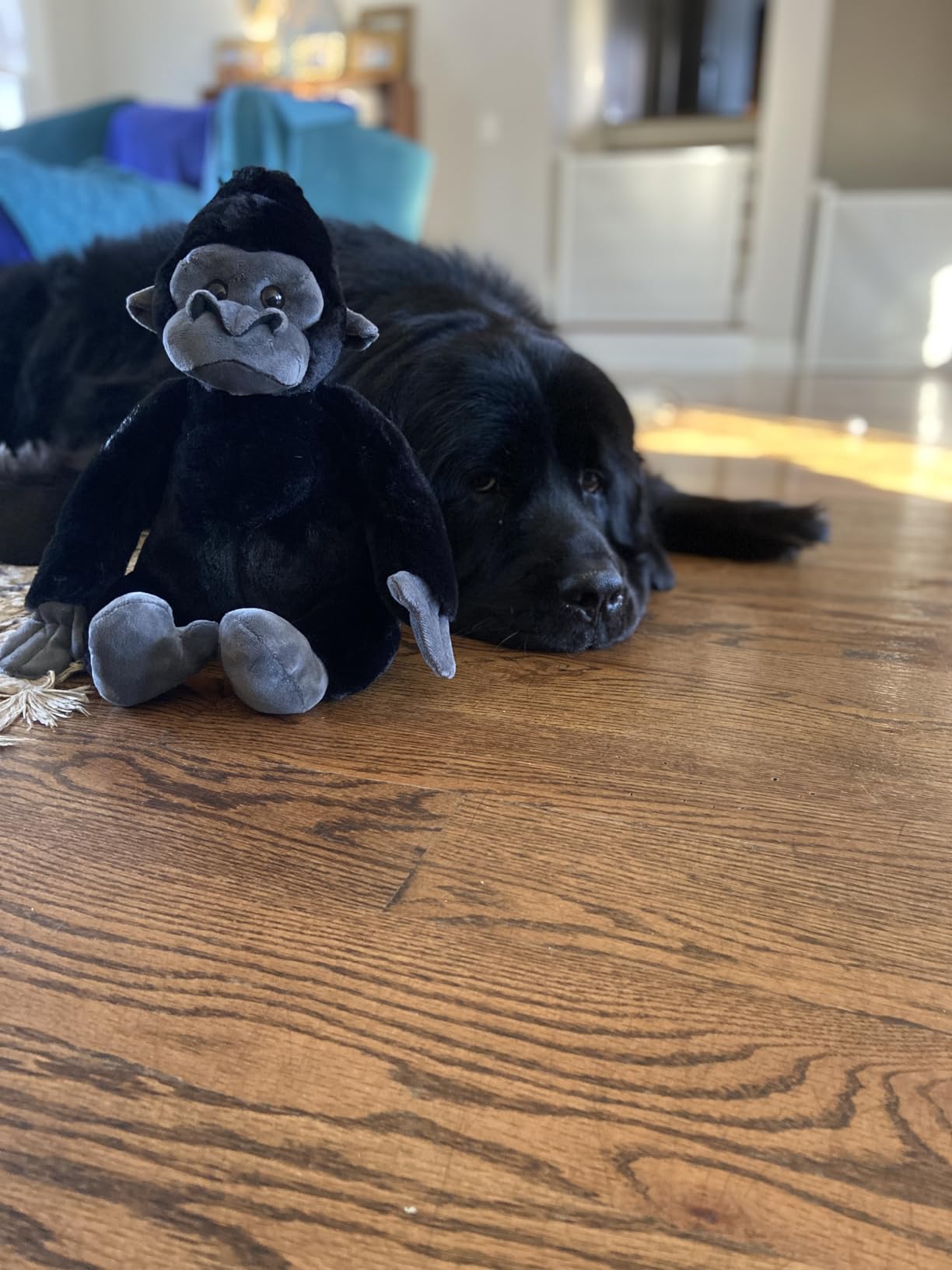 The Petting Zoo Gorilla Stuffed Animal Plush, Wild Onez, Kids Gifts, 12 in customer photo 2