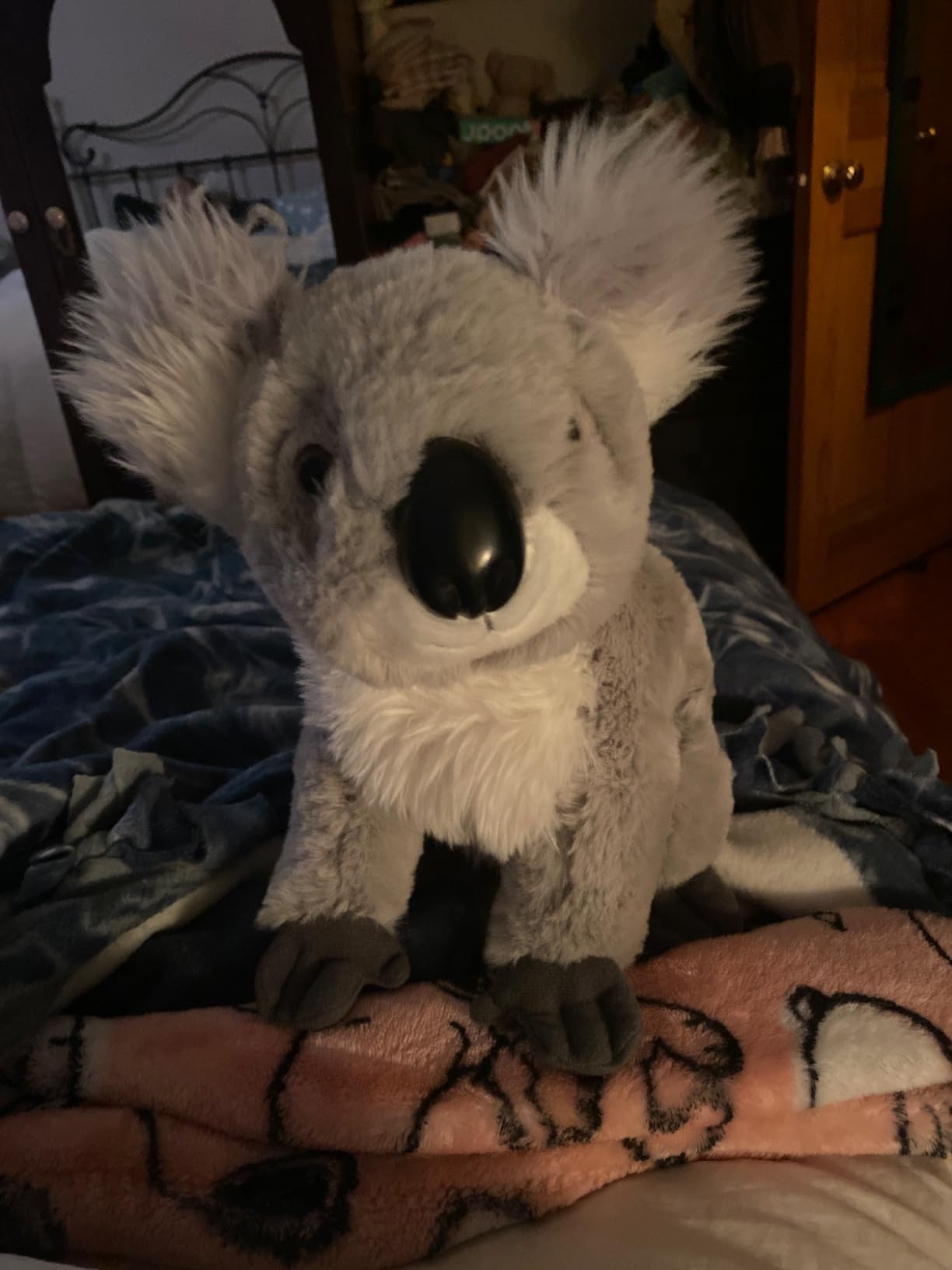 The Petting Zoo Koala Stuffed Animal Plushie, Wild Onez, Kids Gifts, 12 in | Koala Realistic Wildlife Zoo Animals by Zoologee customer photo 1