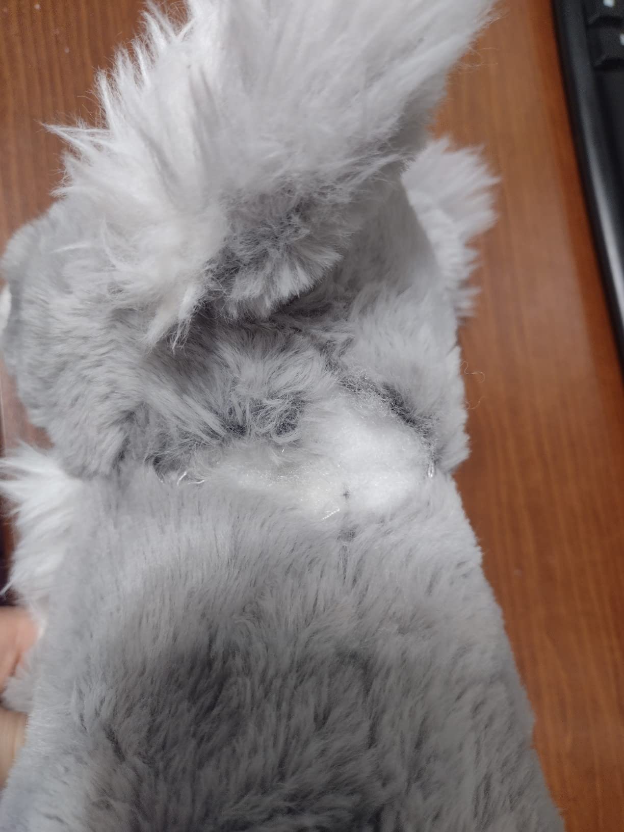 The Petting Zoo Koala Stuffed Animal Plushie, Wild Onez, Kids Gifts, 12 in | Koala Realistic Wildlife Zoo Animals by Zoologee customer photo 2