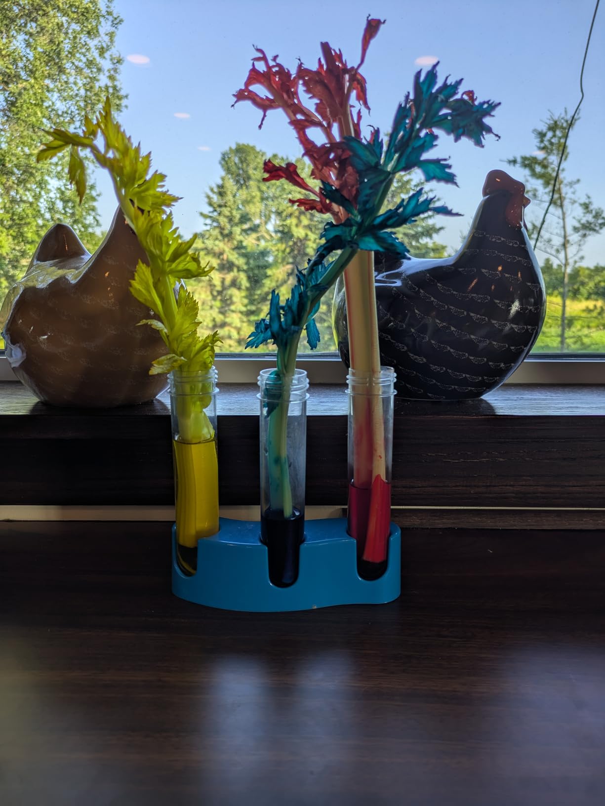 National Geographic Amazing Chemistry Set with 100+ Experiments Ages 8-12 | Crystal Growing, Chemical Reactions, STEM Projects, Hands-On Science Experiments, Science Kit, Birthday Gift customer photo 2