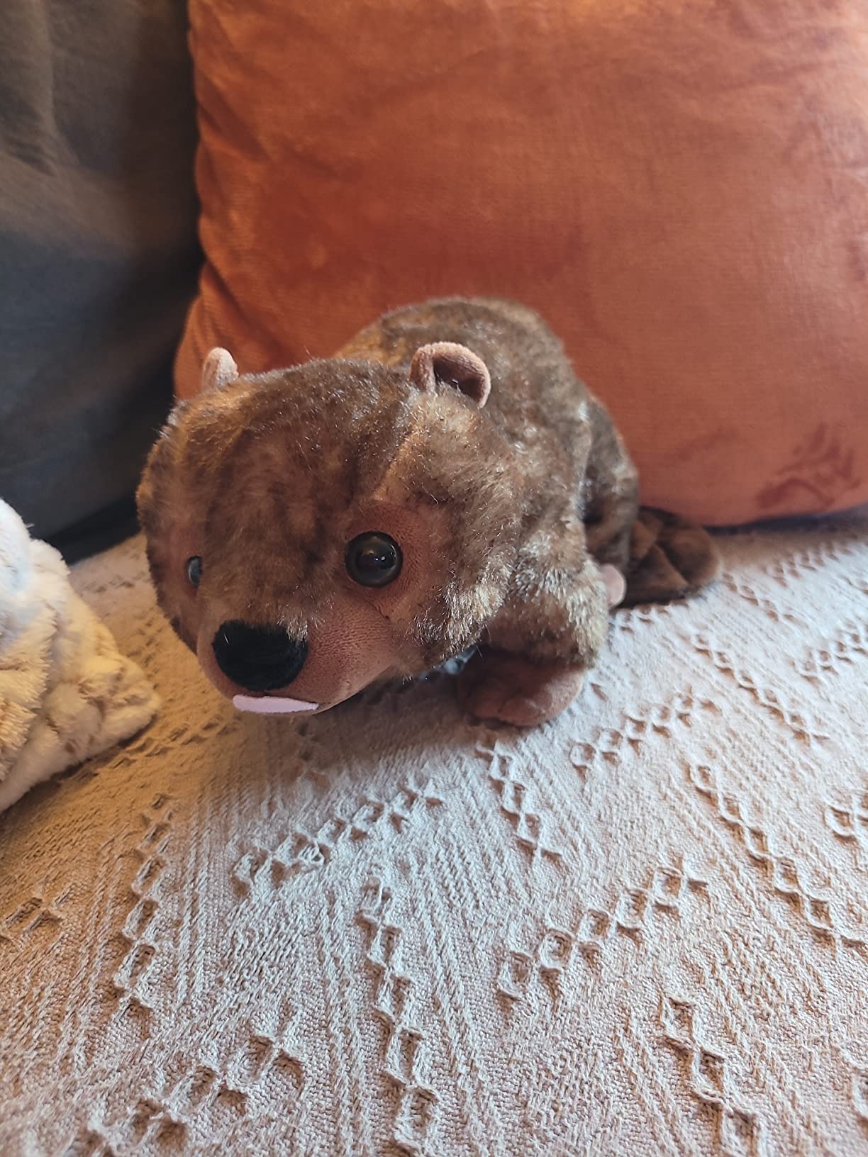 The Petting Zoo Beaver Stuffed Animal Plushie, Wild Onez, Kids Gifts, 12 in customer photo 1