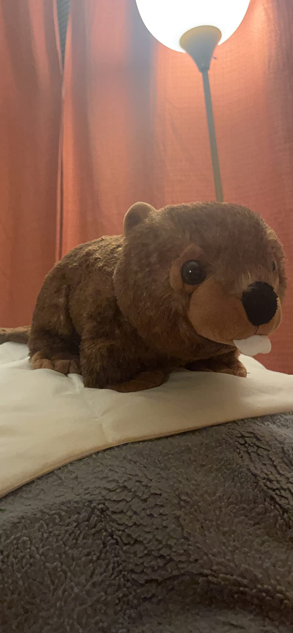 The Petting Zoo Beaver Stuffed Animal Plushie, Wild Onez, Kids Gifts, 12 in customer photo 2