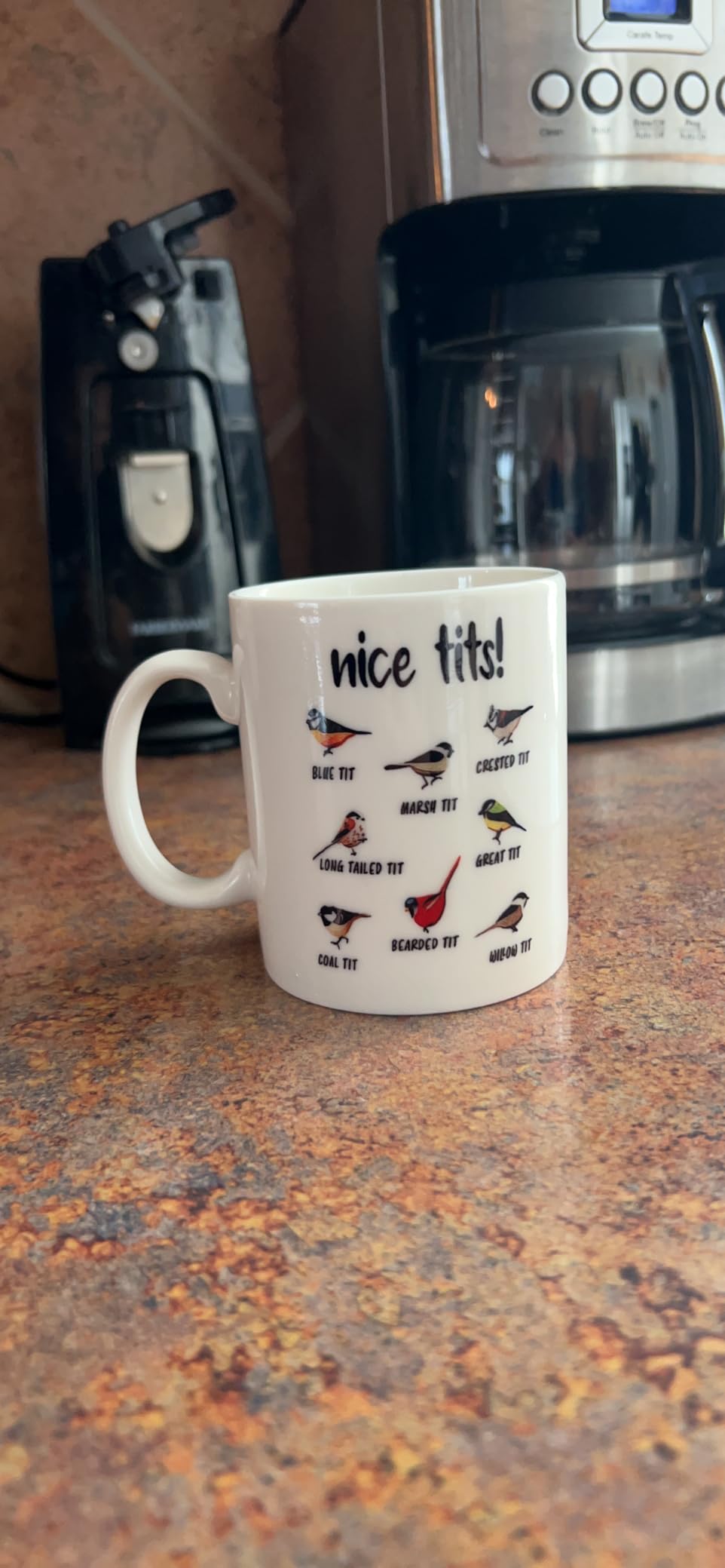 Jigfoxy Nice Tits Bird Mug, Funny Birds Coffee Mugs, Bird Watching Gifts | Gifts for Bird Lovers Women Men, 11 Oz White customer photo 1