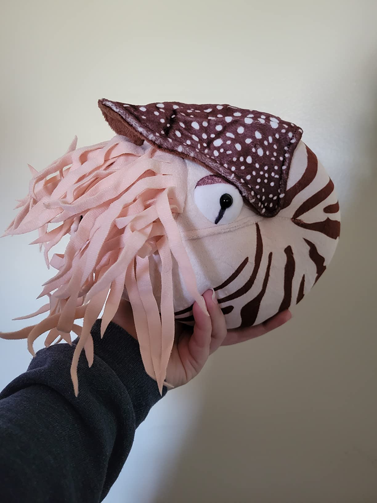 Simulation Nautilus Plush Toy - Lifelike Real Life Chambered Nautilus Stuffed, Animal Toy Soft Sea Life Toys Gifts for Kids, 8 Inches customer photo 1