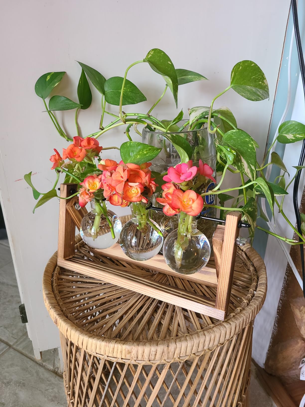 Plant Propagation Station, Plant Terrarium with Wooden Stand | Unique Gardening Birthday Gifts for Women Plants Lovers, Home Office Garden Decor Planter - 3 Bulb Glass Vases customer photo 2