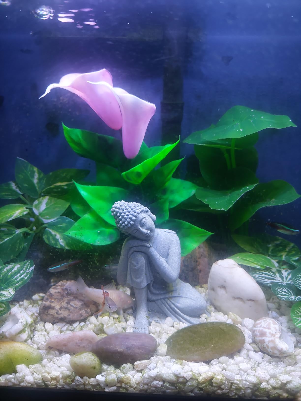Fish Tank Buddha Statue Decorations Aquarium Decor Betta Fish Tank Accessories Ornament Small Meditating Sandstone Buda Statues customer photo 2