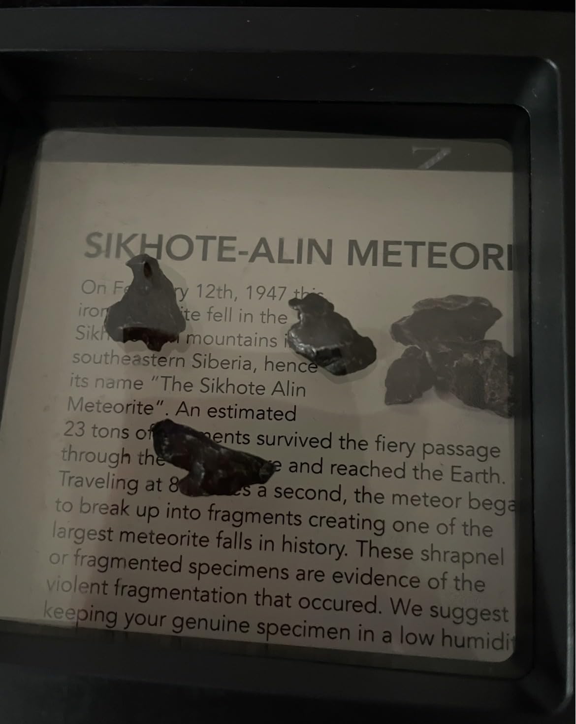 KALIFANO Sikhote-Alin Meteorite Bundle (3 Pieces) - Authentic Rough Iron Meteorite from Siberia - Rare Specimen with Information Card and COA Included customer photo 1