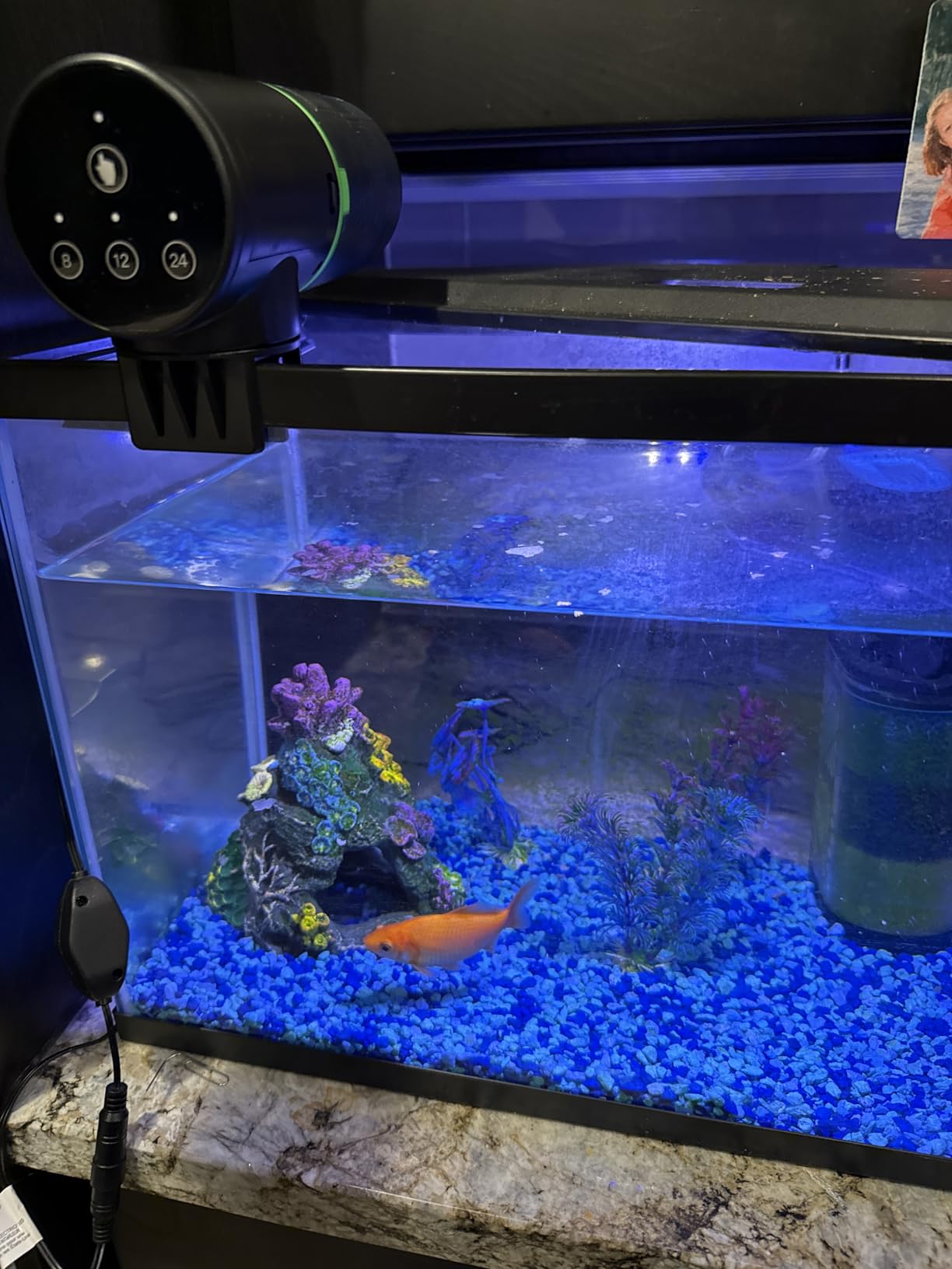 Freesea Automatic Fish Feeder for Aquarium: 3 Timers & One-Touch Easy Setup - 7-14 Day Supply with 200ML Food Dispenser - Worry-Free Vacation Feeding for Betta Turtle Tank customer photo 1