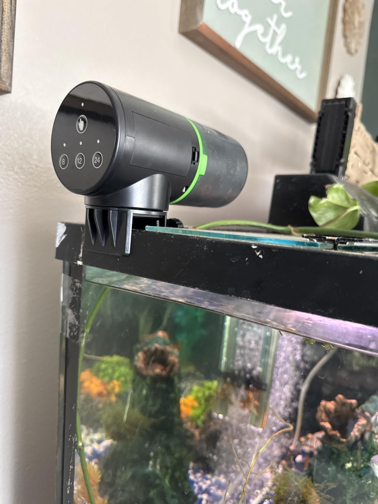 Freesea Automatic Fish Feeder for Aquarium: 3 Timers & One-Touch Easy Setup - 7-14 Day Supply with 200ML Food Dispenser - Worry-Free Vacation Feeding for Betta Turtle Tank customer photo 2