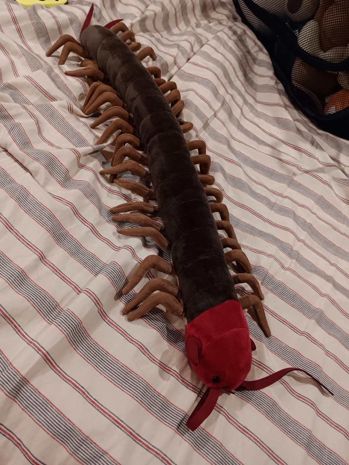 Centipede Plush - Lifelike 24' Centipede Stuffed Animal, Realistic Insect Plushie customer photo 2
