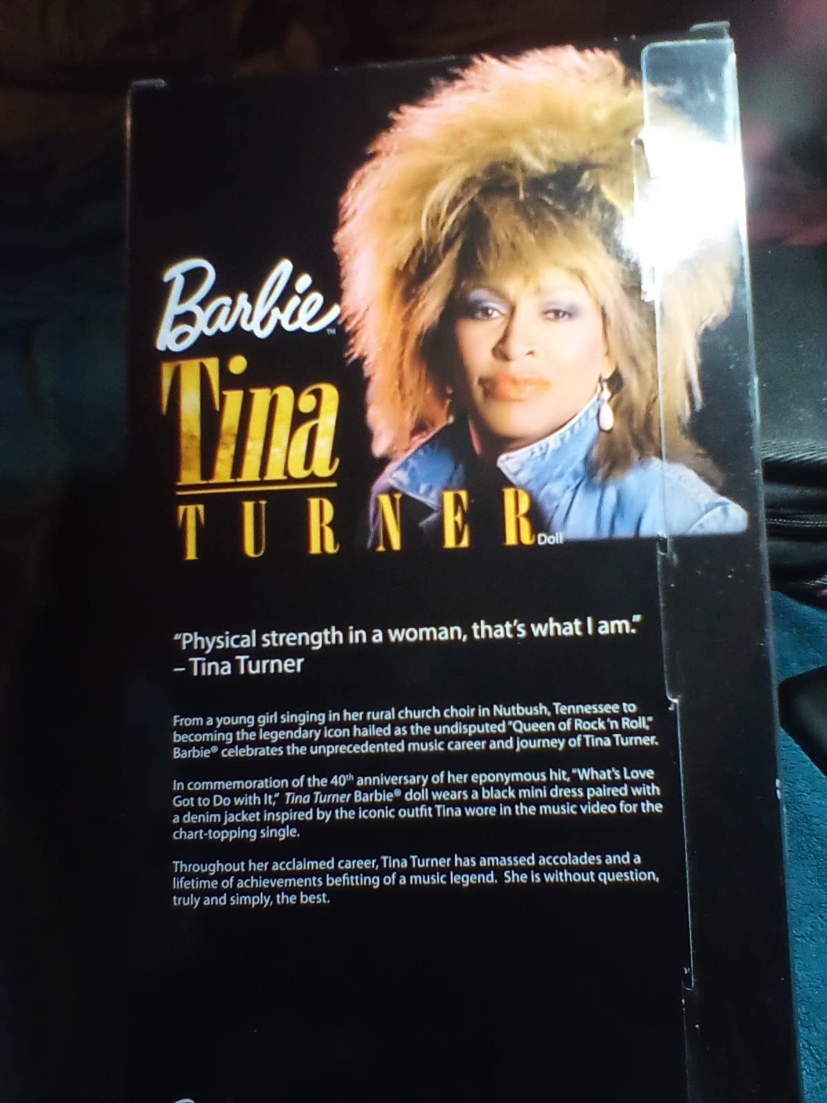 Barbie Signature Tina Turner Barbie Doll in '90s Fashion and Accessories with Microphone Accessory, Gift for Collectors customer photo 1