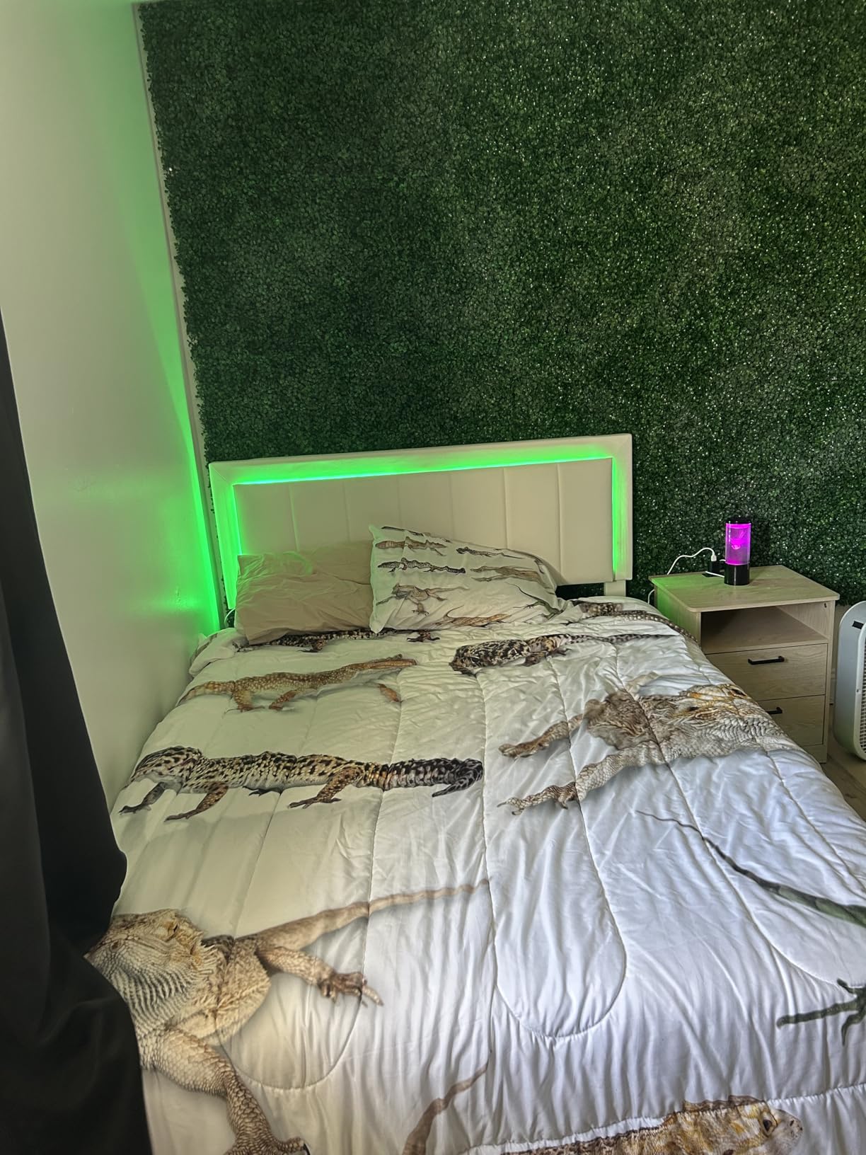 Feelyou Reptile Comforter Set Leopard Gecko Bedding Set for Kids Boys Girls Primitive Wildlife Animals Lizard Comforter Beige White Green Decor Quilt Set Room 2Pcs Twin Size customer photo 1