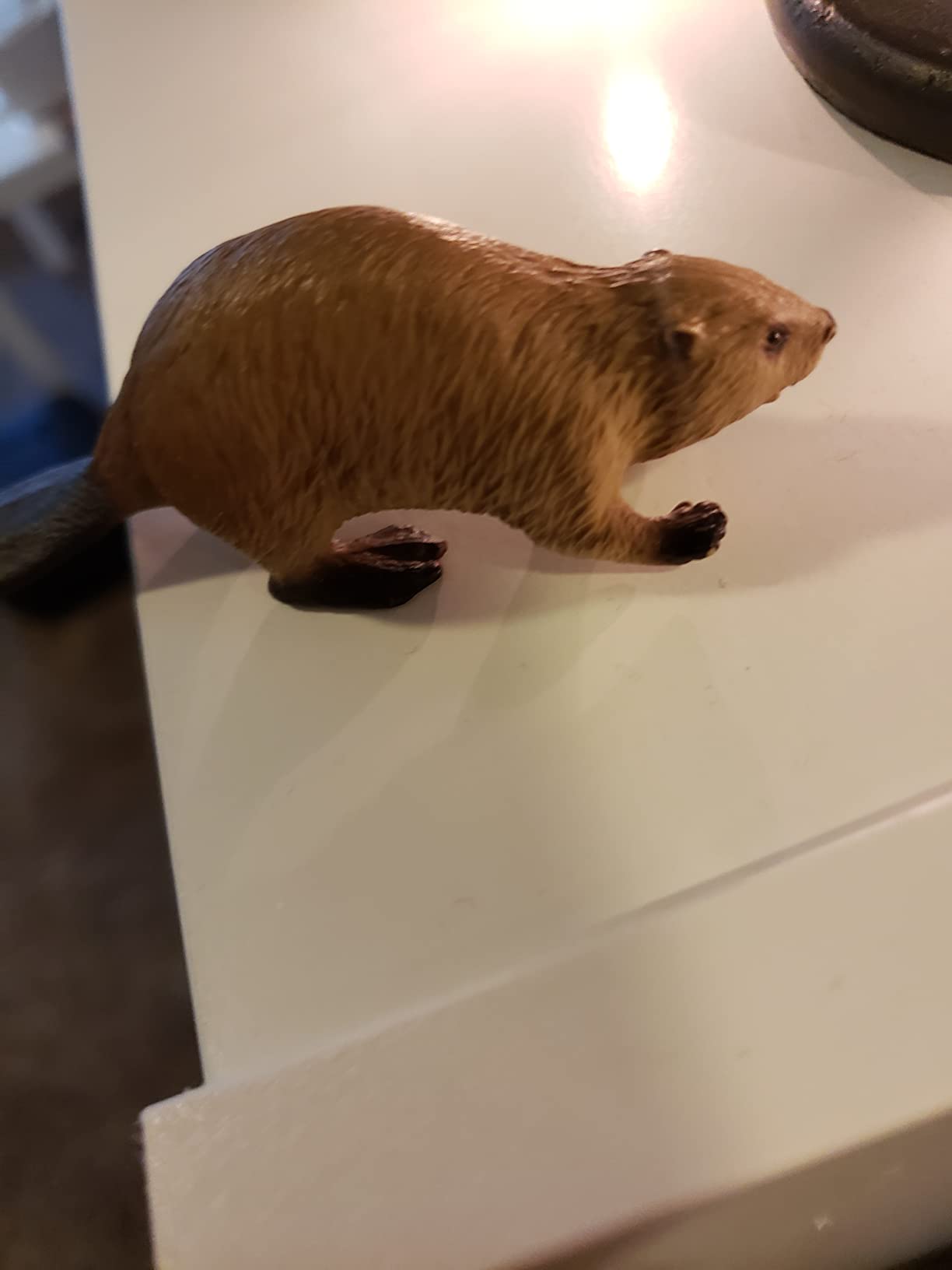 Schleich Wild Life - Beaver Toy Figurine - Realistic Animal Toy for Boys and Girls Ages 3+, Educational Pretend Play customer photo 1