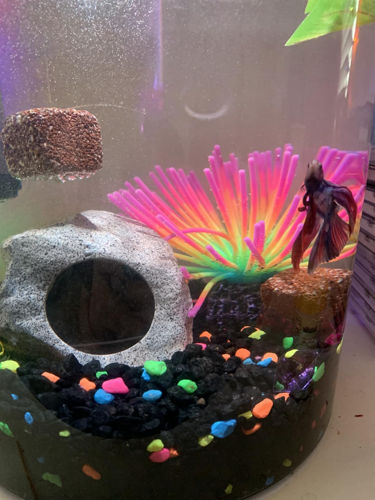Uniclife Aquarium Imitative Rainbow Sea Urchin Ball Artificial Silicone Ornament with Glowing Effect for Fish Tank Landscape Decoration customer photo 1