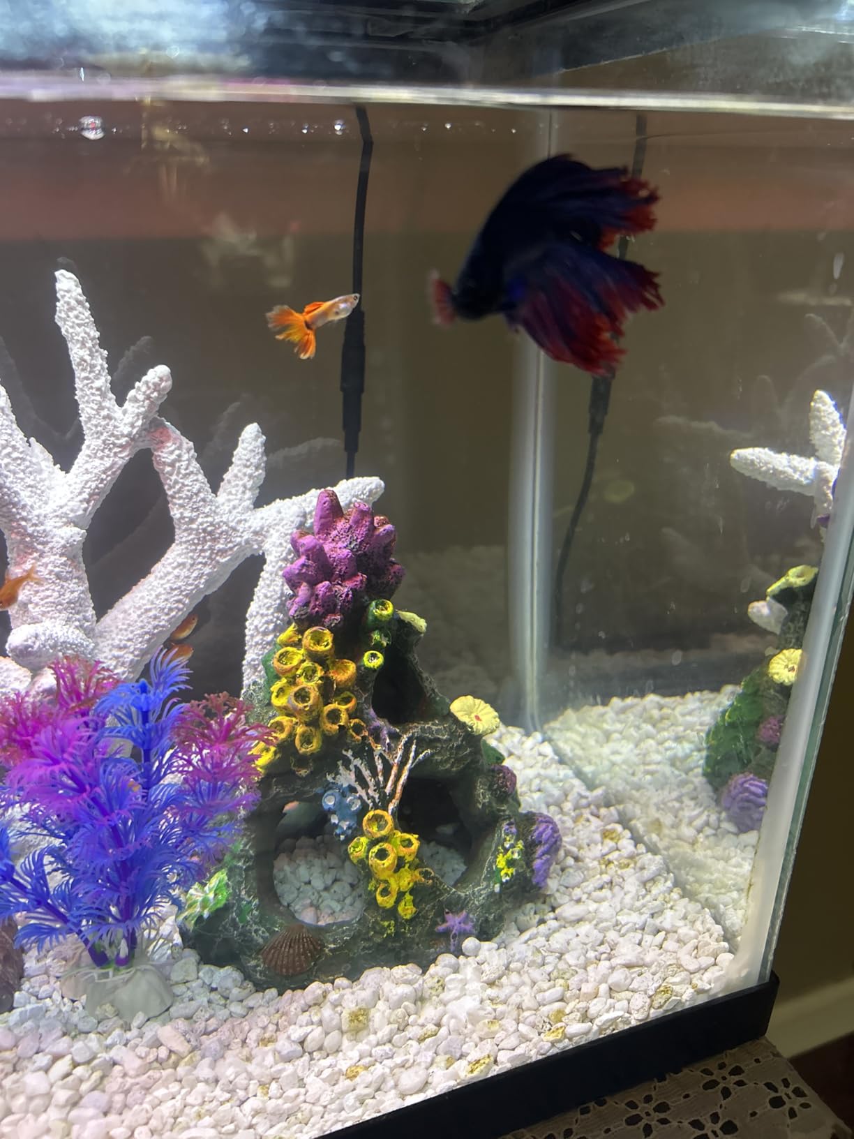 GSD Aquarium Colorful Coral Reef Set Fish Tank Decoration Mountain Ornament for Aquarium Environments Decor Accessories, Coral Mountain x 1, Aquatic Plant x 4 customer photo 2